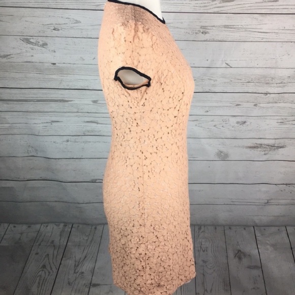 Loft pink lace dress - Picture 4 of 6